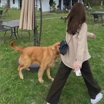 玉米地的孩子3